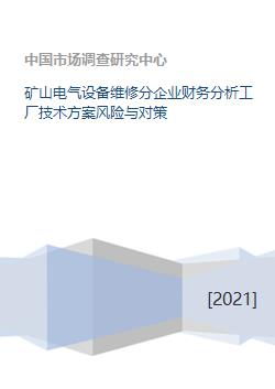 礦山電氣設(shè)備維修分企業(yè)財(cái)務(wù)分析、工廠技術(shù)方案風(fēng)險(xiǎn)與對策及資本投資咨詢