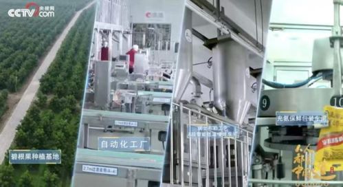 洽洽20年 一把堅(jiān)果背后的匠心與堅(jiān)守，與網(wǎng)絡(luò)科技領(lǐng)域技術(shù)開發(fā)的跨界啟示