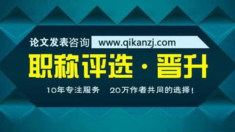 我國專利的分類體系與技術服務解析